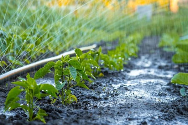 تصویر 2 از قیمت خرید لوله پلی اتیلن ابیاری با فروش عمده